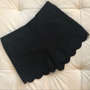 Loft Black Scalloped Edge Shorts - size 8